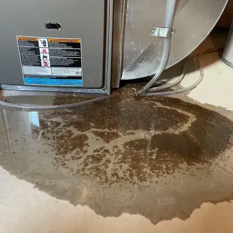 Appliance Leak Cleanup in Rosiclare, IL